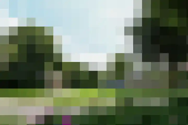 Prof. van Oijenstraat 15 Helden thumbnail 38