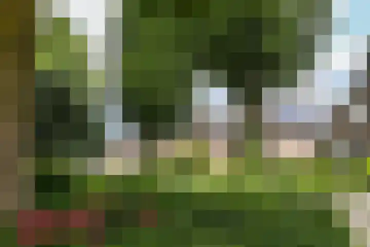 Prof. van Oijenstraat 15 Helden thumbnail 40