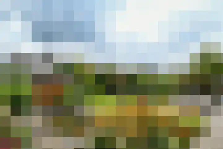 Prof. van Oijenstraat 15 Helden thumbnail 5