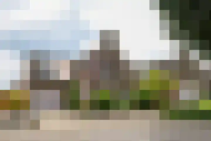 Prof. van Oijenstraat 15 Helden thumbnail 6