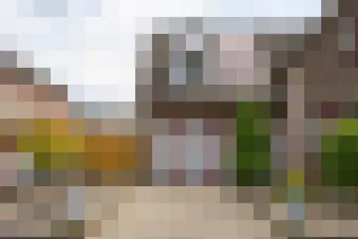 Prof. van Oijenstraat 15 Helden thumbnail 7
