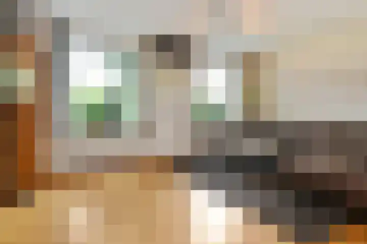 Prof. van Oijenstraat 15 Helden thumbnail 9