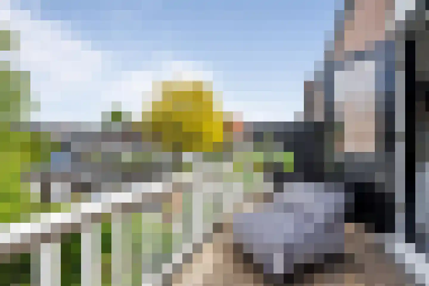 Prof. van Vlotenweg 1 Bloemendaal thumbnail 25