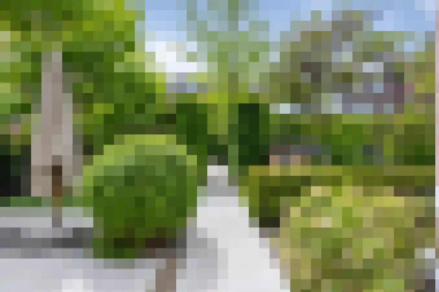 Prof. van Vlotenweg 1 Bloemendaal thumbnail 59