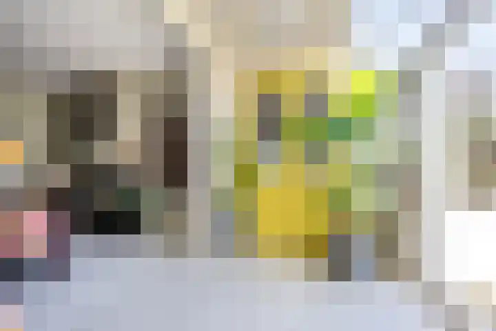 Prof. van Vlotenweg 10 Bloemendaal thumbnail 11