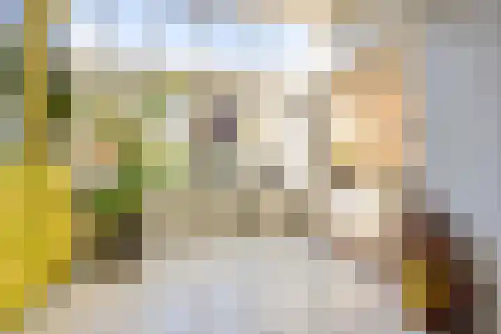 Prof. van Vlotenweg 10 Bloemendaal thumbnail 12