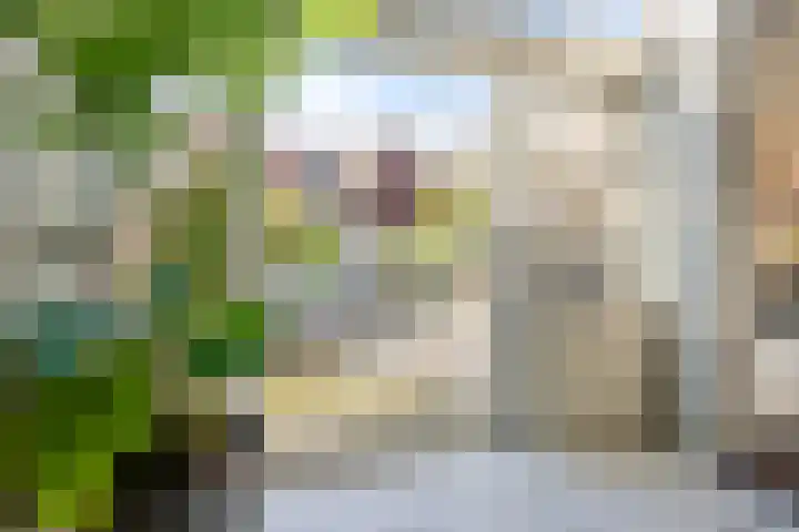 Prof. van Vlotenweg 10 Bloemendaal thumbnail 13