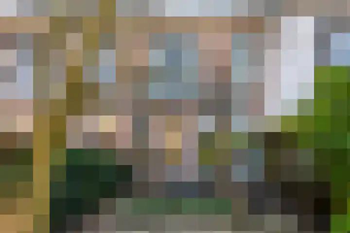 Prof. van Vlotenweg 10 Bloemendaal thumbnail 40