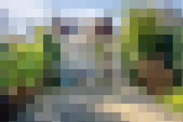 Prof. van Vlotenweg 10 Bloemendaal thumbnail 42
