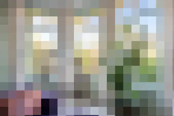 Prof. van Vlotenweg 10 Bloemendaal thumbnail 6