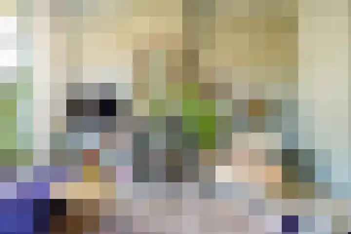 Prof. van Vlotenweg 10 Bloemendaal thumbnail 7