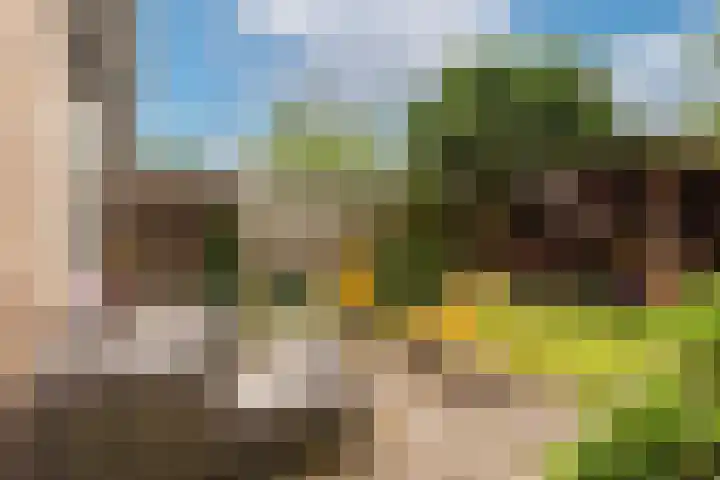 Prof. van Vollenhovenlaan 17 Baarn thumbnail 12