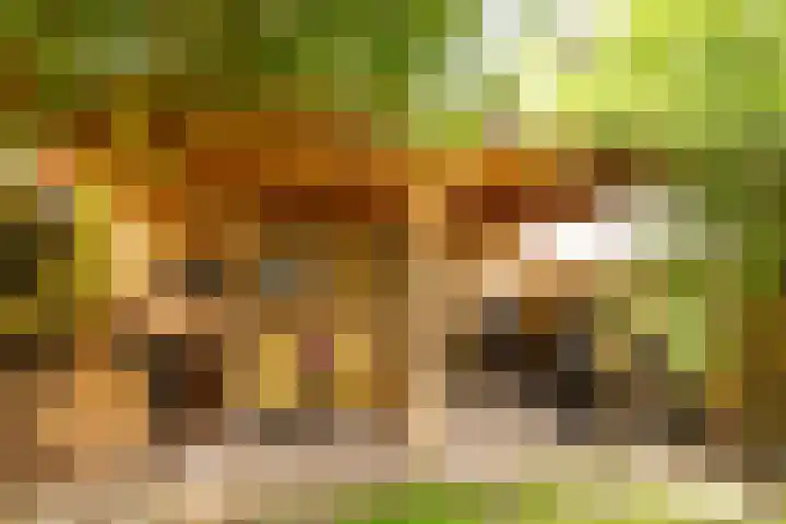 Prof. van Vollenhovenlaan 17 Baarn thumbnail 13