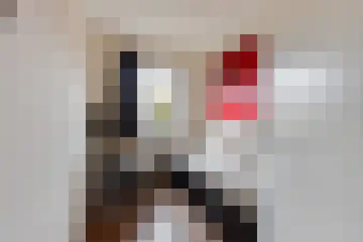 Prof. van Vollenhovenlaan 17 Baarn thumbnail 20