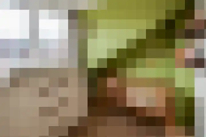 Prof. van Vollenhovenlaan 17 Baarn thumbnail 27