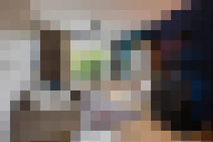 Prof. van Vollenhovenlaan 17 Baarn thumbnail 5