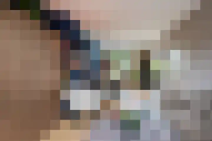 Prof. van Vollenhovenlaan 17 Baarn thumbnail 6