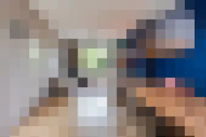 Prof. van Vollenhovenlaan 17 Baarn thumbnail 8