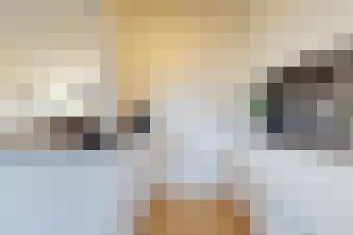 Prof. van Vollenhovenlaan 19 Baarn thumbnail 12