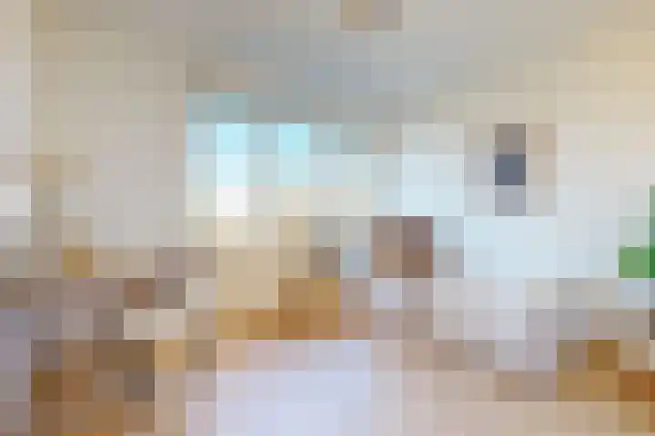Prof. van Vollenhovenlaan 19 Baarn thumbnail 20