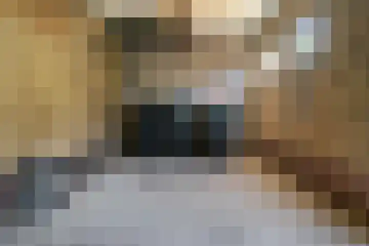 Prof. van Vollenhovenlaan 19 Baarn thumbnail 31