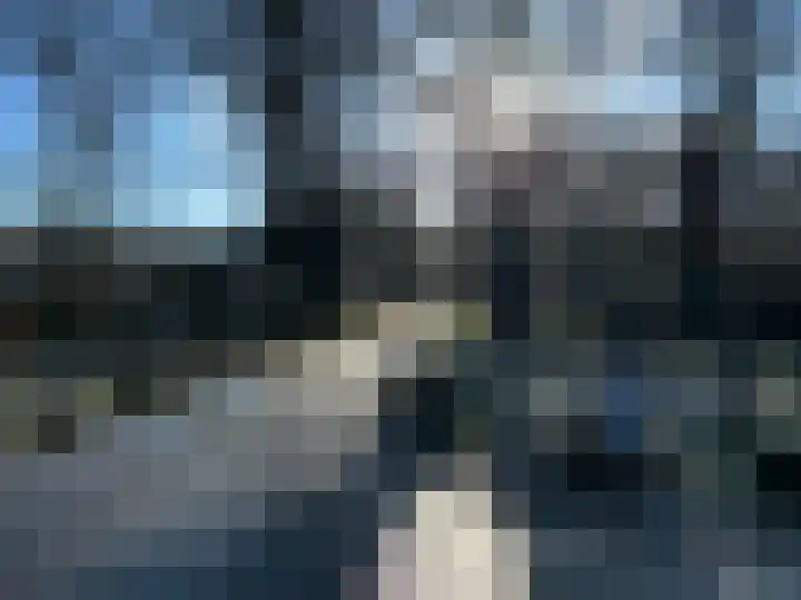 Prof. van Vollenhovenlaan 19 Baarn thumbnail 39