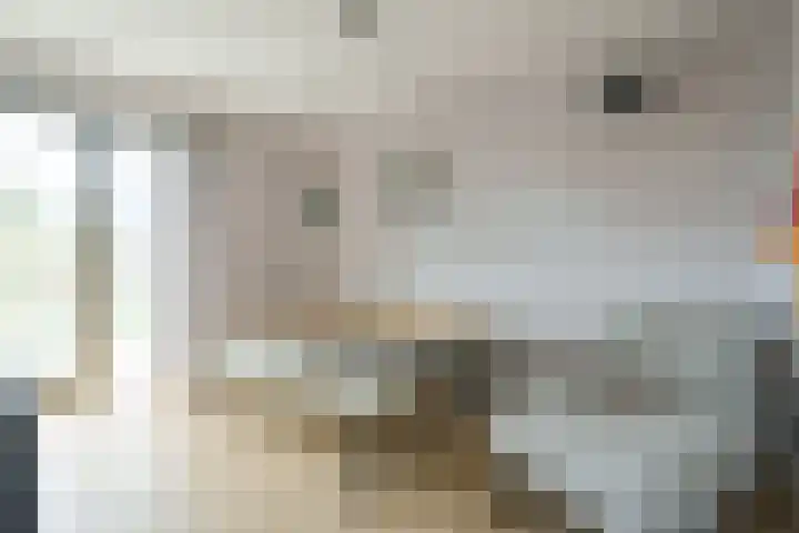 Prof. Visserlaan 19 Wageningen thumbnail 10