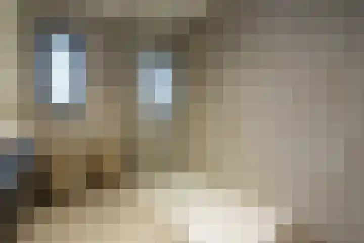 Prof. Visserlaan 19 Wageningen thumbnail 21