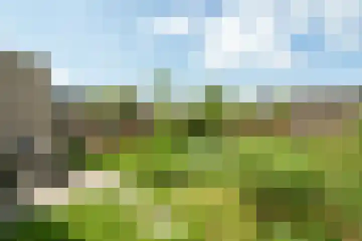 Prof. Visserlaan 19 Wageningen thumbnail 27