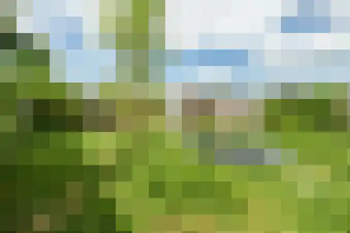 Prof. Visserlaan 19 Wageningen thumbnail 28