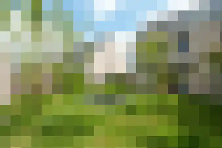 Prof. Visserlaan 19 Wageningen thumbnail 29