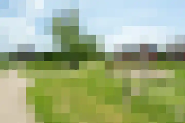Prof. Visserlaan 19 Wageningen thumbnail 32