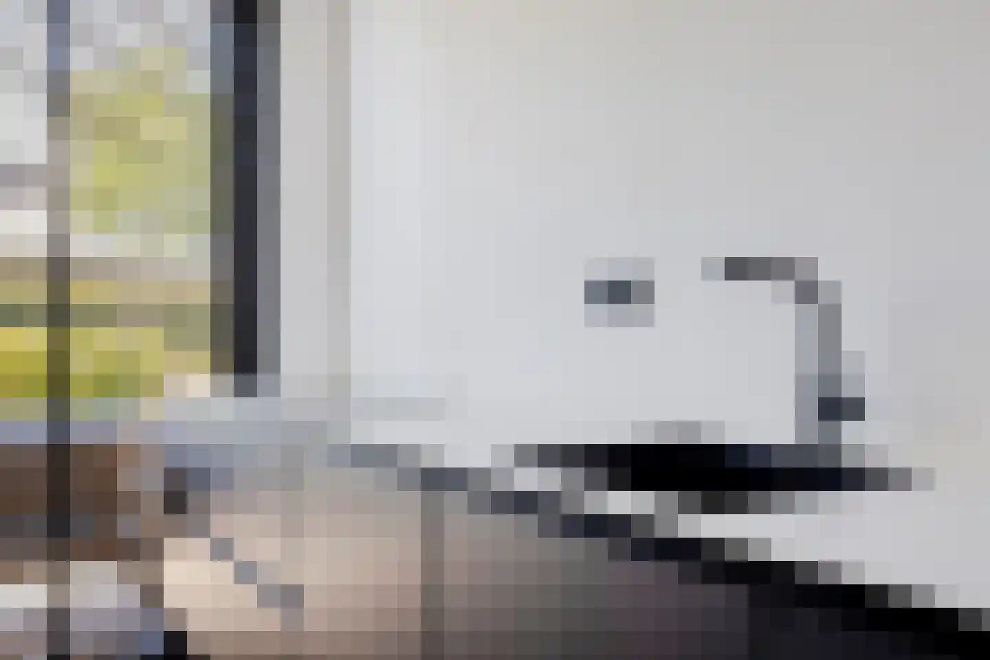 Prof. Visserlaan 58 Wageningen thumbnail 16
