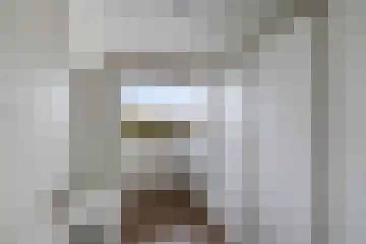 Prof. Waterinklaan 35 Dordrecht thumbnail 37