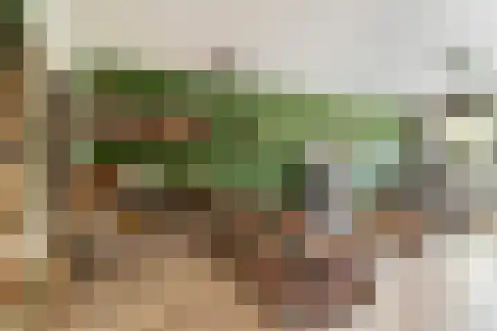 Prof. Waterinklaan 7 Dordrecht thumbnail 10