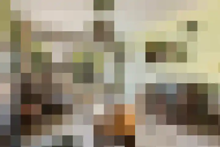 Prof. Waterinklaan 7 Dordrecht thumbnail 12
