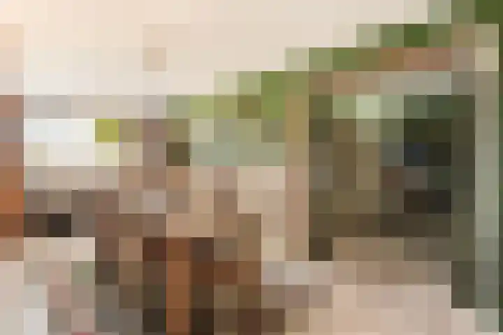Prof. Waterinklaan 7 Dordrecht thumbnail 17