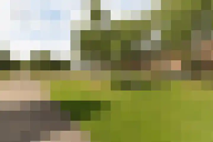 Prof. Waterinklaan 7 Dordrecht thumbnail 27