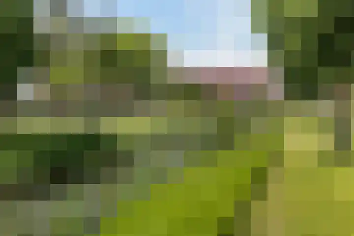 Prof. Waterinklaan 7 Dordrecht thumbnail 5