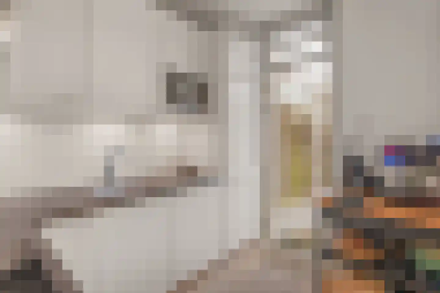 Prof. Wentlaan 7 Utrecht thumbnail 14