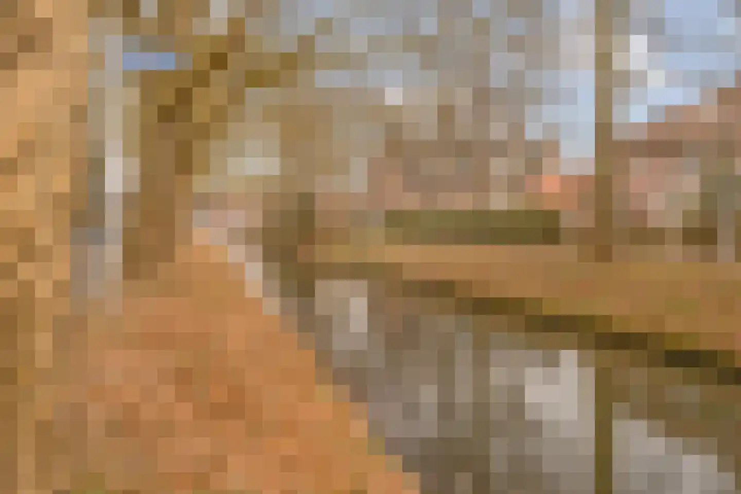 Prof. Wentlaan 7 Utrecht thumbnail 39