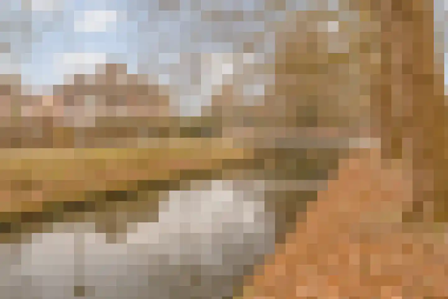 Prof. Wentlaan 7 Utrecht thumbnail 40