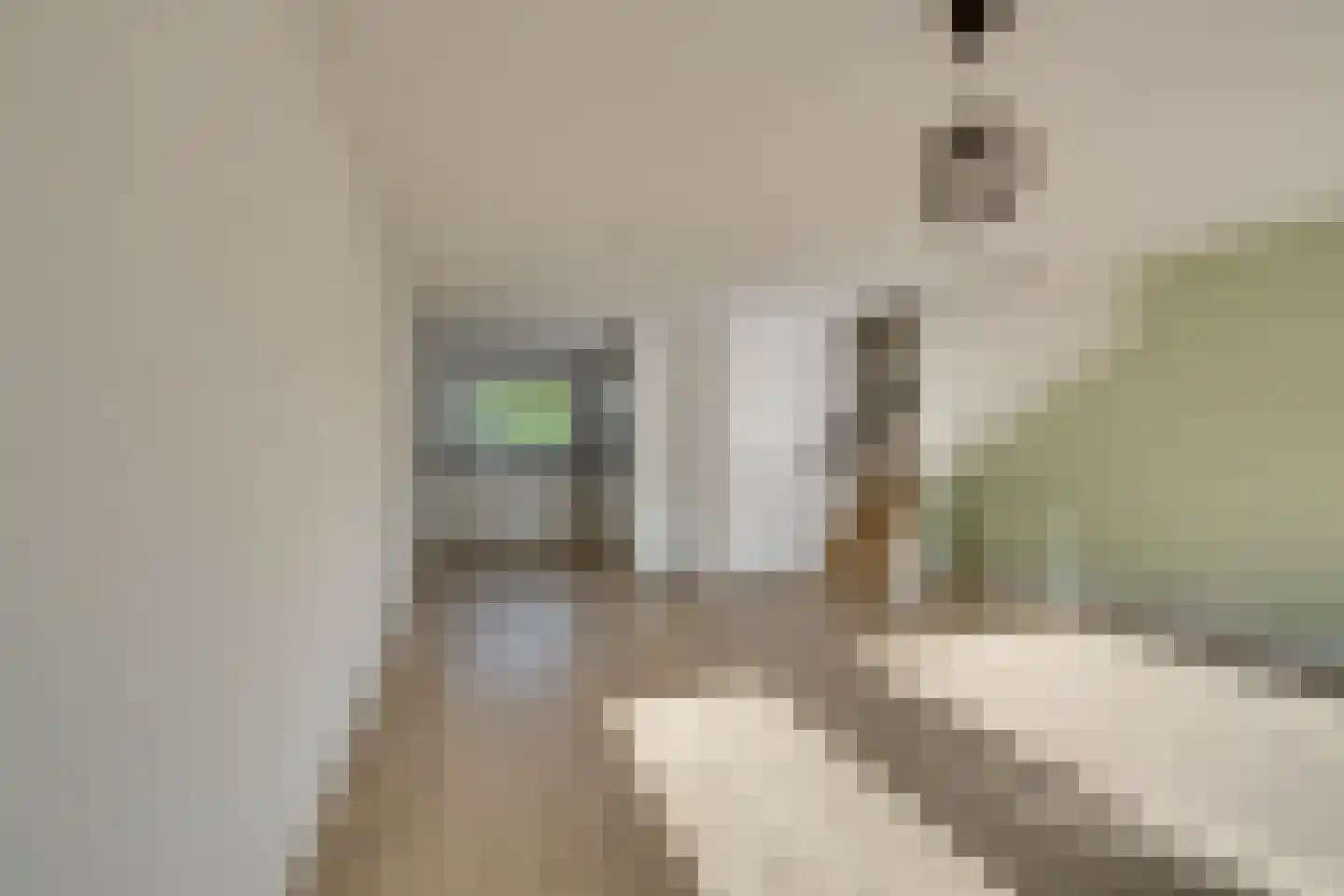 Prof. Willem Schermerhornstraat 12 Grootschermer thumbnail 10
