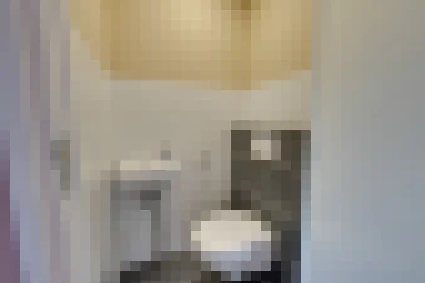Prof. Willem Schermerhornstraat 12 Grootschermer thumbnail 26