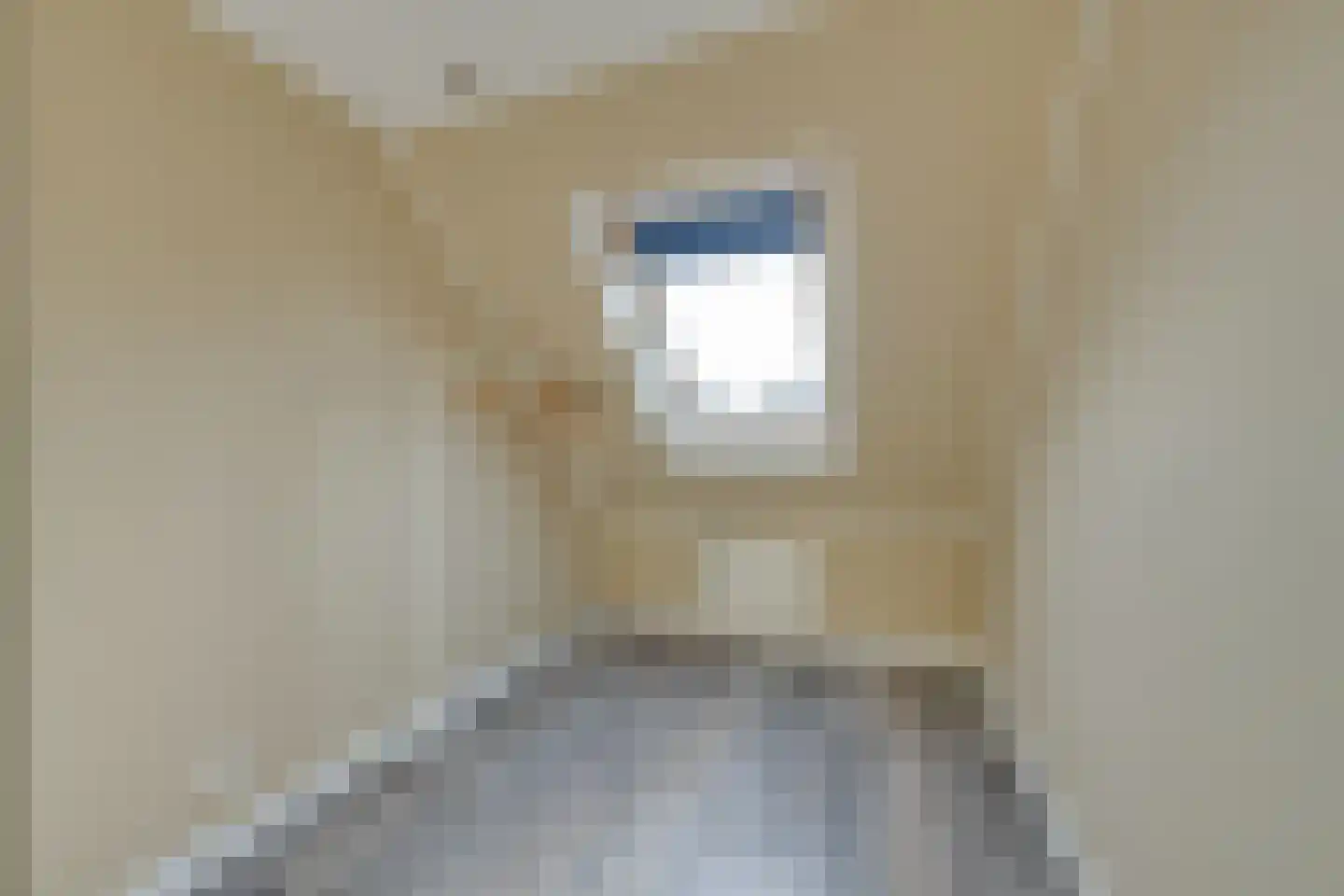 Prof. Willem Schermerhornstraat 12 Grootschermer thumbnail 32