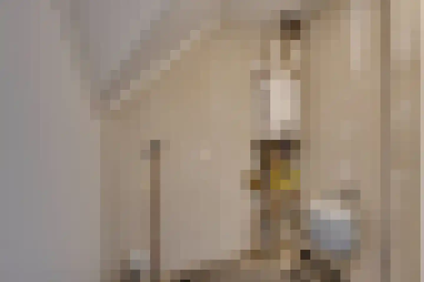 Prof. Willem Schermerhornstraat 12 Grootschermer thumbnail 38