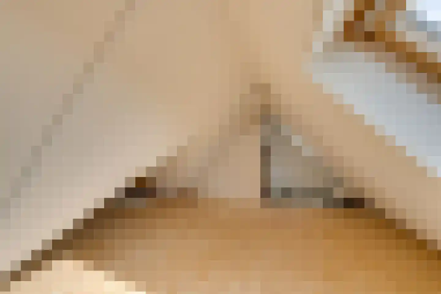 Prof. Willem Schermerhornstraat 12 Grootschermer thumbnail 40