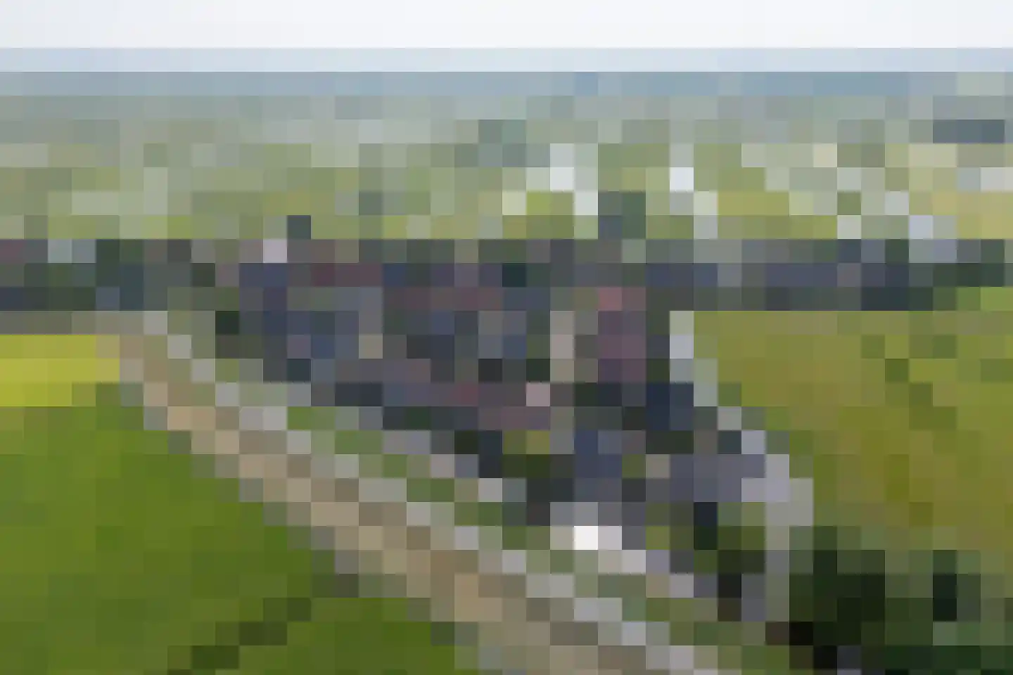 Prof. Willem Schermerhornstraat 12 Grootschermer thumbnail 45