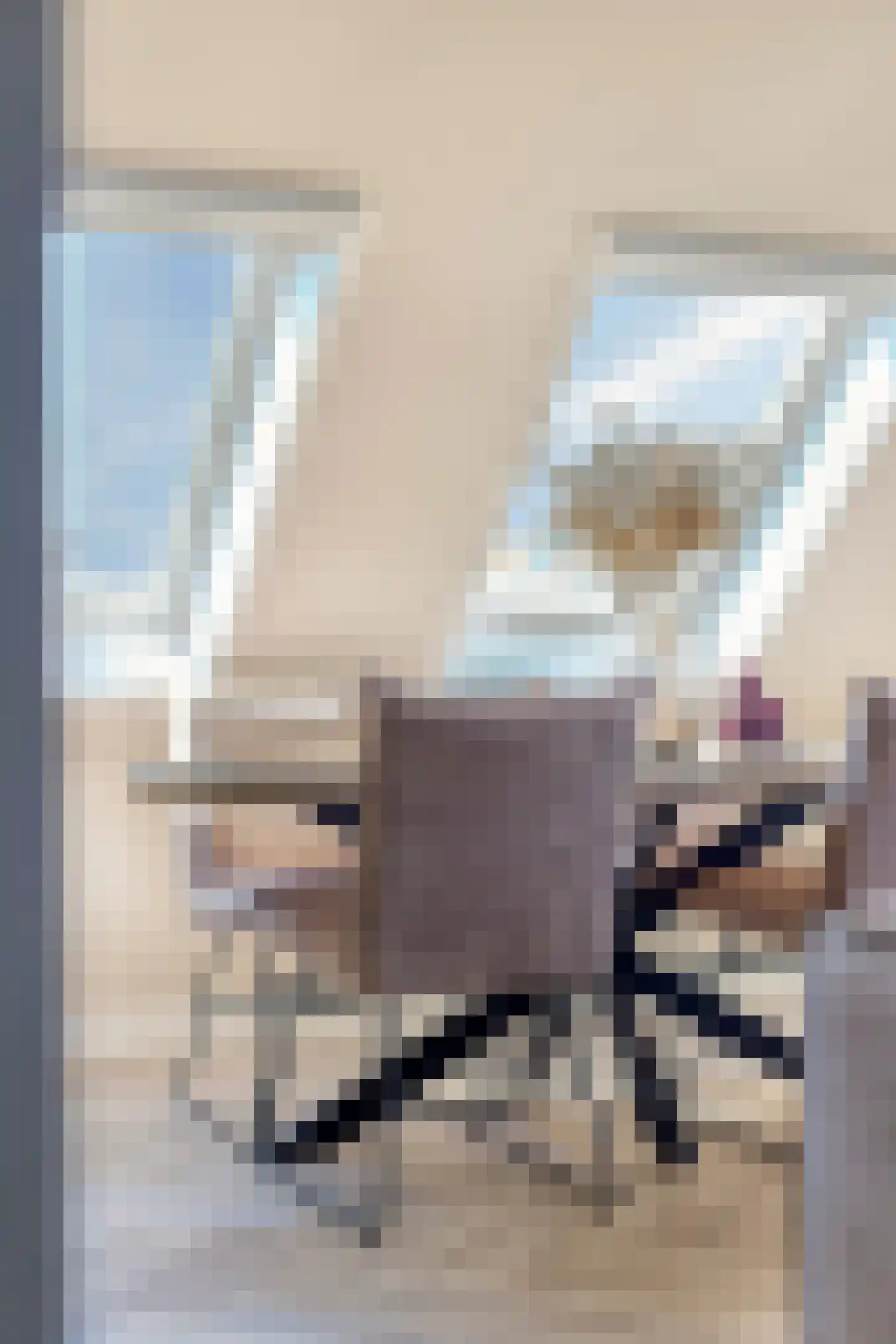 Prof. Willem Schermerhornstraat 18 Grootschermer thumbnail 21