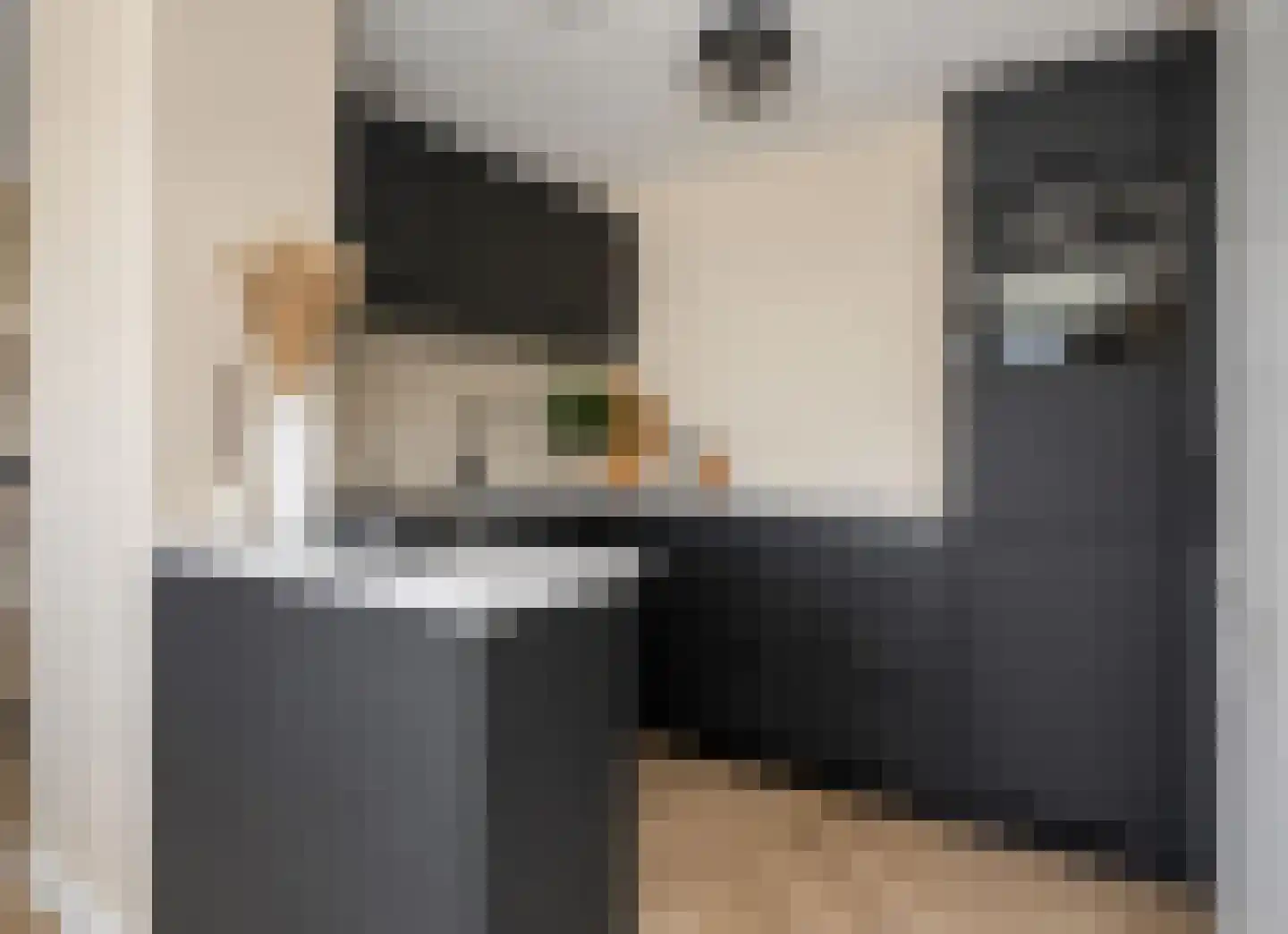 Prof. Willem Schermerhornstraat 18 Grootschermer thumbnail 24